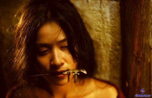 刘嘉玲饰演盲武士的妻子桃花 《东邪西毒》巨星15年前境遇:梁朝伟与刘嘉玲