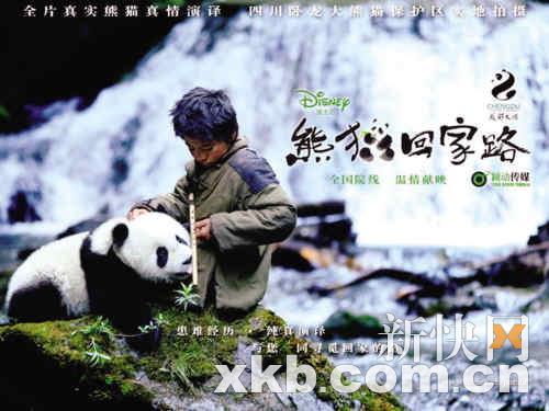 《熊猫回家路》PK《车票》母亲节上演催泪戏
