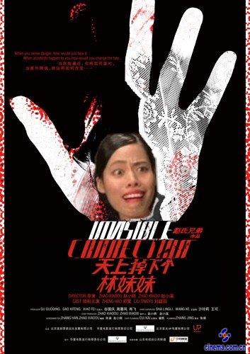 《天上掉下个林妹妹》遭恶搞网络惊现雷人海报