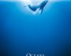 ���� OCEANS