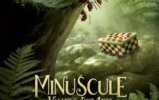 �����ܶ�Ա Minuscule: la Vallée des Fourmis Perdues