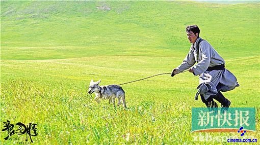 贺岁片《狼图腾》 在一部电影里看尽草原所有的美