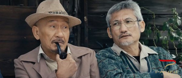 我的特工爷爷